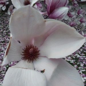 Meet your Posher, Tristan